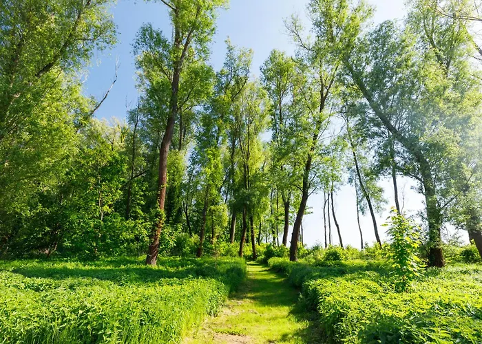 Blue4 Balatonfůzfő